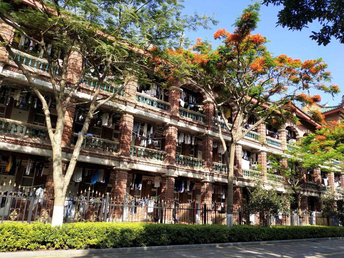 厦门大学的风景